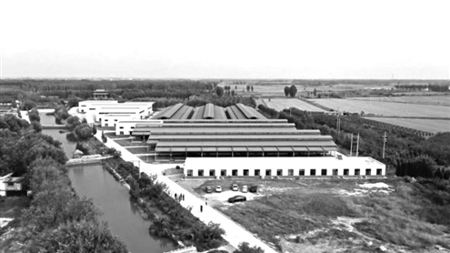 高青黑牛生物种质提升项目(资料图)